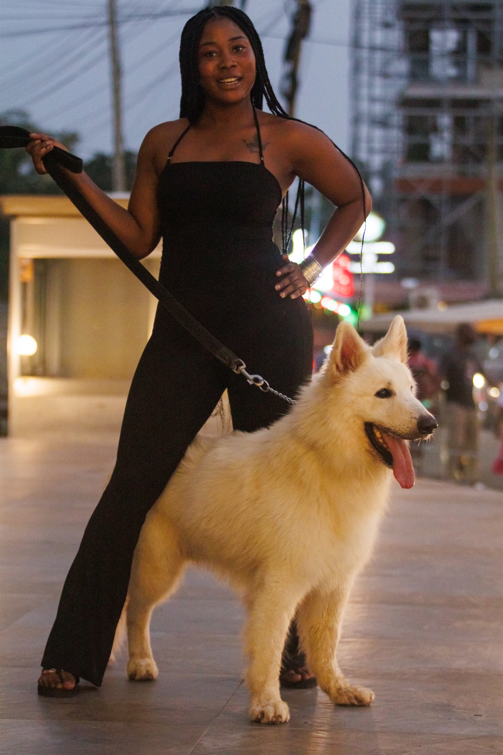 AAK Pet Shop gallery photo 21