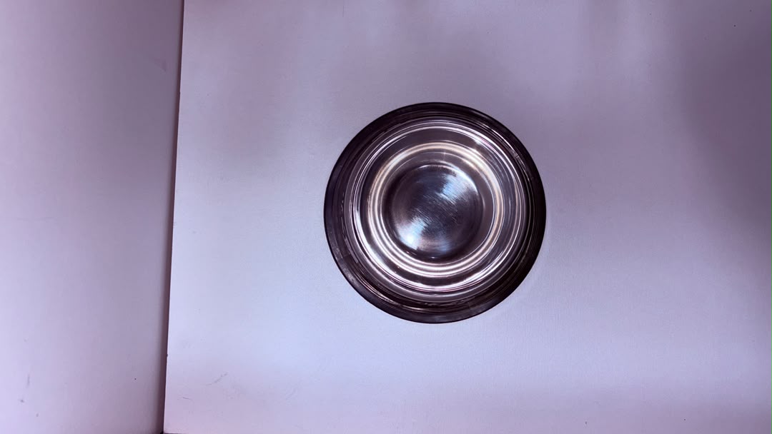 Stainless Steel Pet Feeding Bowl 18cm